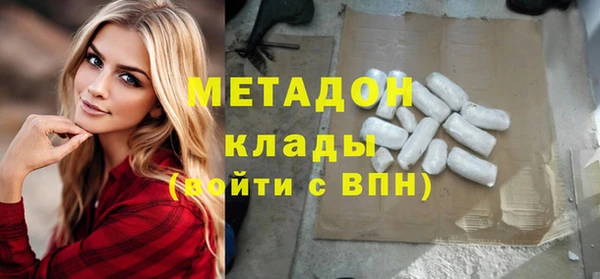 молекула духа Вяземский