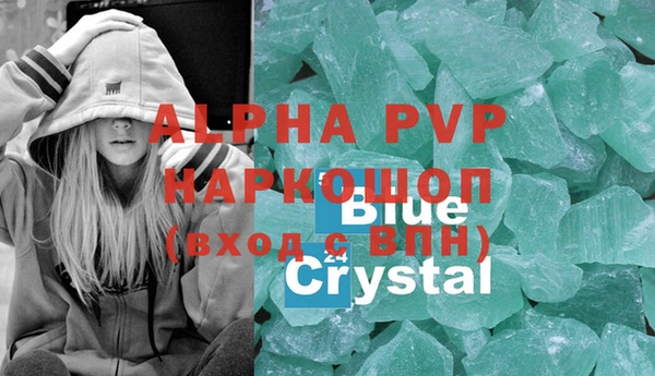 молекула духа Вяземский