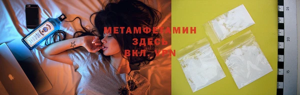 шишки Гусев
