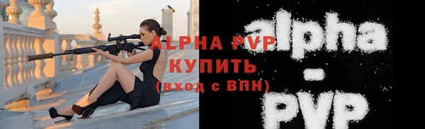 молекула духа Вяземский