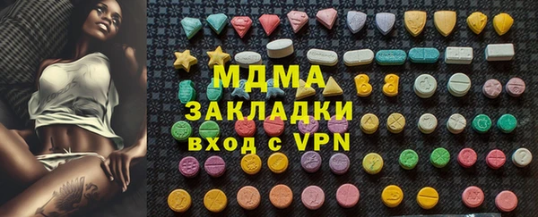 молекула духа Вяземский
