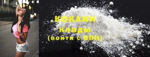 сатива Горнозаводск