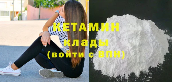 молекула духа Вяземский