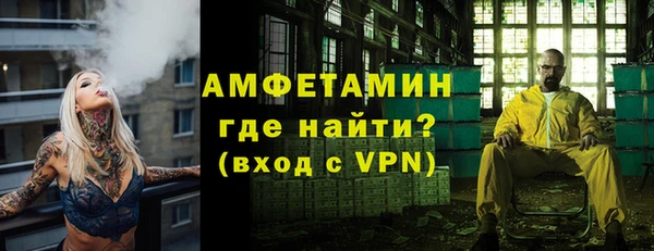 молекула духа Вяземский