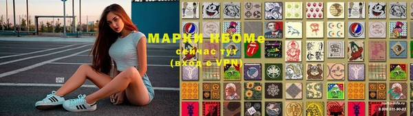 шишки Гусев