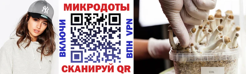 Псилоцибиновые грибы мицелий  Дмитров 